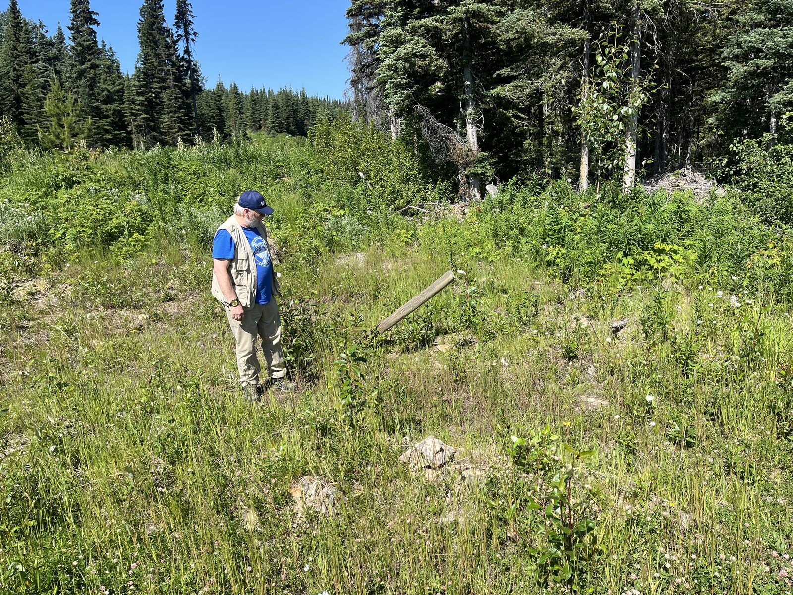 IMG_0241